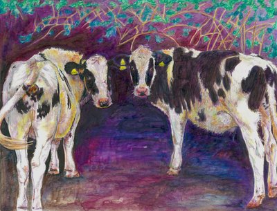 Sheltering cows by Helen White